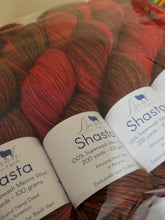 Load image into Gallery viewer, Baah Shasta Worsted Yarn of the Month