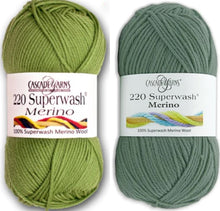 Load image into Gallery viewer, Cascade 220 Superwash Merino Yarn
