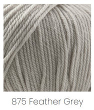 Load image into Gallery viewer, Cascade Yarns 220 Superwash Aran Yarn