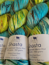 Load image into Gallery viewer, Baah Shasta Worsted Yarn of the Month