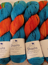 Load image into Gallery viewer, Baah Shasta Worsted Yarn of the Month