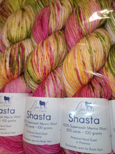 Load image into Gallery viewer, Baah Shasta Worsted Yarn of the Month
