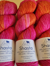 Load image into Gallery viewer, Baah Shasta Worsted Yarn of the Month