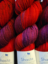 Load image into Gallery viewer, Baah Shasta Worsted Yarn of the Month