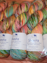 Load image into Gallery viewer, Baah Shasta Worsted Yarn of the Month