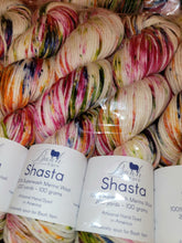 Load image into Gallery viewer, Baah Shasta Worsted Yarn of the Month