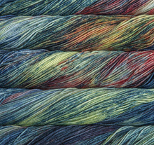Load image into Gallery viewer, Malabrigo Arroyo