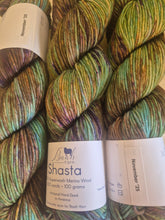 Load image into Gallery viewer, Baah Shasta Worsted Yarn of the Month
