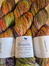 Load image into Gallery viewer, Baah Shasta Worsted Yarn of the Month