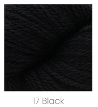 Load image into Gallery viewer, Cascade Yarns Woolpaka