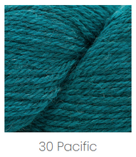 Load image into Gallery viewer, Cascade Yarns Woolpaka
