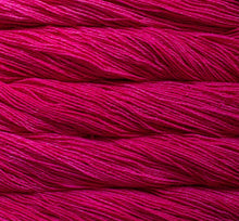 Load image into Gallery viewer, Malabrigo Dos Tierras