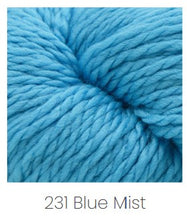 Load image into Gallery viewer, Cascade 128 Superwash