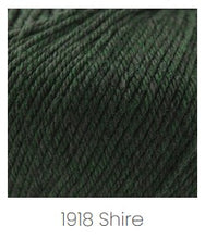 Load image into Gallery viewer, Cascade 220 Superwash DK - More Colors