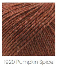 Load image into Gallery viewer, Cascade Yarns 220 Superwash