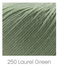 Load image into Gallery viewer, Cascade 220 Superwash DK - More Colors