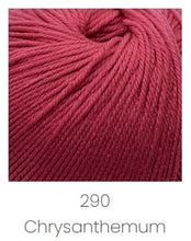 Load image into Gallery viewer, Cascade Yarns 220 Superwash
