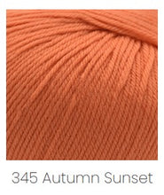 Load image into Gallery viewer, Cascade Yarns 220 Superwash