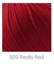 Load image into Gallery viewer, Cascade Yarns 220 Superwash