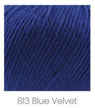 Load image into Gallery viewer, Cascade Yarns 220 Superwash