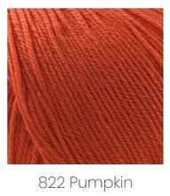Load image into Gallery viewer, Cascade Yarns 220 Superwash