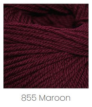 Load image into Gallery viewer, Cascade Yarns 220 Superwash