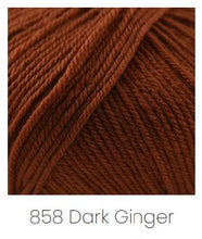 Load image into Gallery viewer, Cascade Yarns 220 Superwash