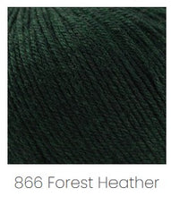 Load image into Gallery viewer, Cascade 220 Superwash DK - More Colors