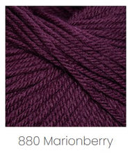 Load image into Gallery viewer, Cascade Yarns 220 Superwash