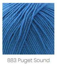 Load image into Gallery viewer, Cascade 220 Superwash DK - More Colors