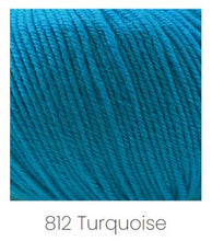 Load image into Gallery viewer, Cascade Yarns 220 Superwash