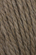 Load image into Gallery viewer, Classic Elite - Blackthorn Knitting Yarn - Fawn (# 7044)