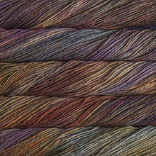 Load image into Gallery viewer, Malabrigo Mecha 862 Piedras