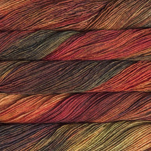 Load image into Gallery viewer, Malabrigo Mechita