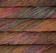 Load image into Gallery viewer, Malabrigo Dos Tierras