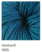 Load image into Gallery viewer, Berroco Modern Cotton