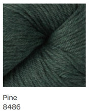 Load image into Gallery viewer, Berroco Pima 100