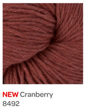 Load image into Gallery viewer, Berroco Pima 100