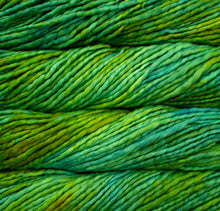 Load image into Gallery viewer, Malabrigo Rasta