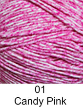 Load image into Gallery viewer, Cascade Yarns Sarasota