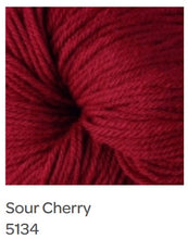 Load image into Gallery viewer, Berroco Vintage