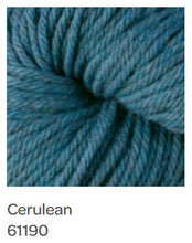 Load image into Gallery viewer, Berroco Vintage Chunky