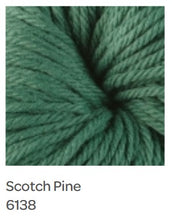 Load image into Gallery viewer, Berroco Vintage Chunky