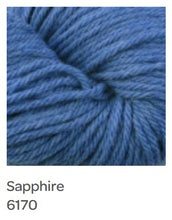 Load image into Gallery viewer, Berroco Vintage Chunky