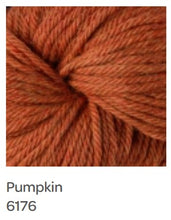 Load image into Gallery viewer, Berroco Vintage Chunky