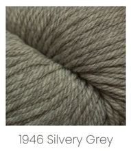 Load image into Gallery viewer, Cascade Yarns 220 Superwash Aran Yarn