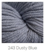 Load image into Gallery viewer, Cascade Yarns 220 Superwash Aran Yarn