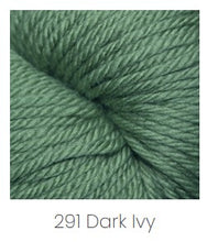Load image into Gallery viewer, Cascade Yarns 220 Superwash Aran Yarn
