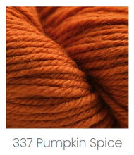 Load image into Gallery viewer, Cascade Yarns 220 Superwash Aran Yarn