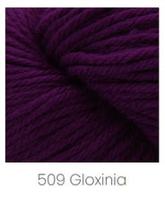 Load image into Gallery viewer, Cascade Yarns 220 Superwash Aran Yarn